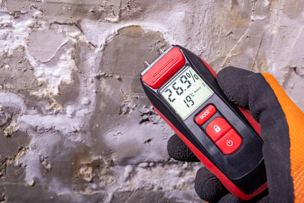 Best Mold Cleaning Services  in Sulphur, OK